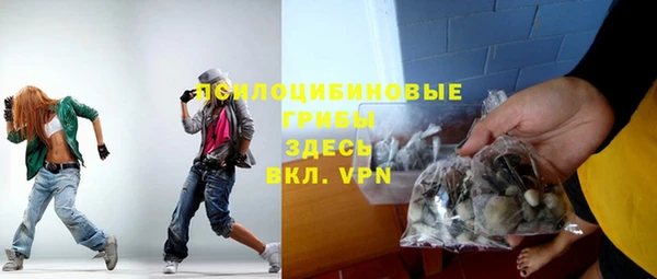 молекула духа Алексин