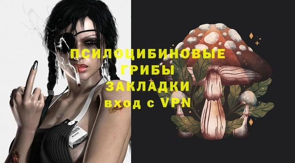 spice Алзамай