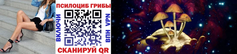 Галлюциногенные грибы GOLDEN TEACHER  Красногорск 